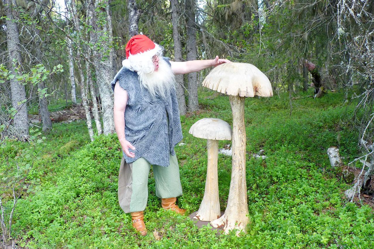 Elves Village Hotel Конгас Экстерьер фото